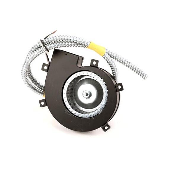 Assembly Motor Blower Warmer 208/240V
